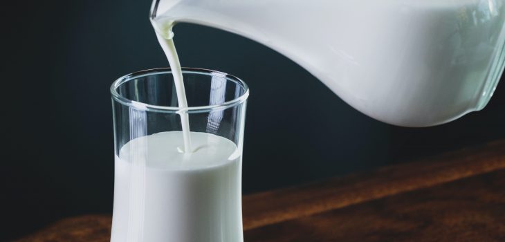 dairy