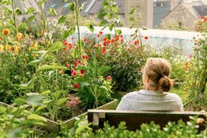 St Beunos Gardens